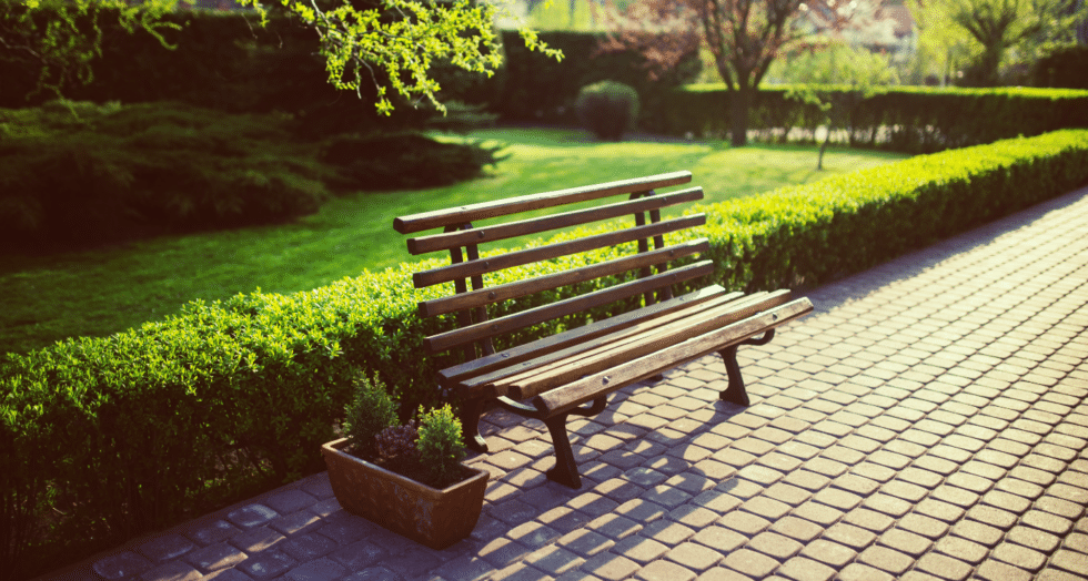When & How To Trim Your Hedges