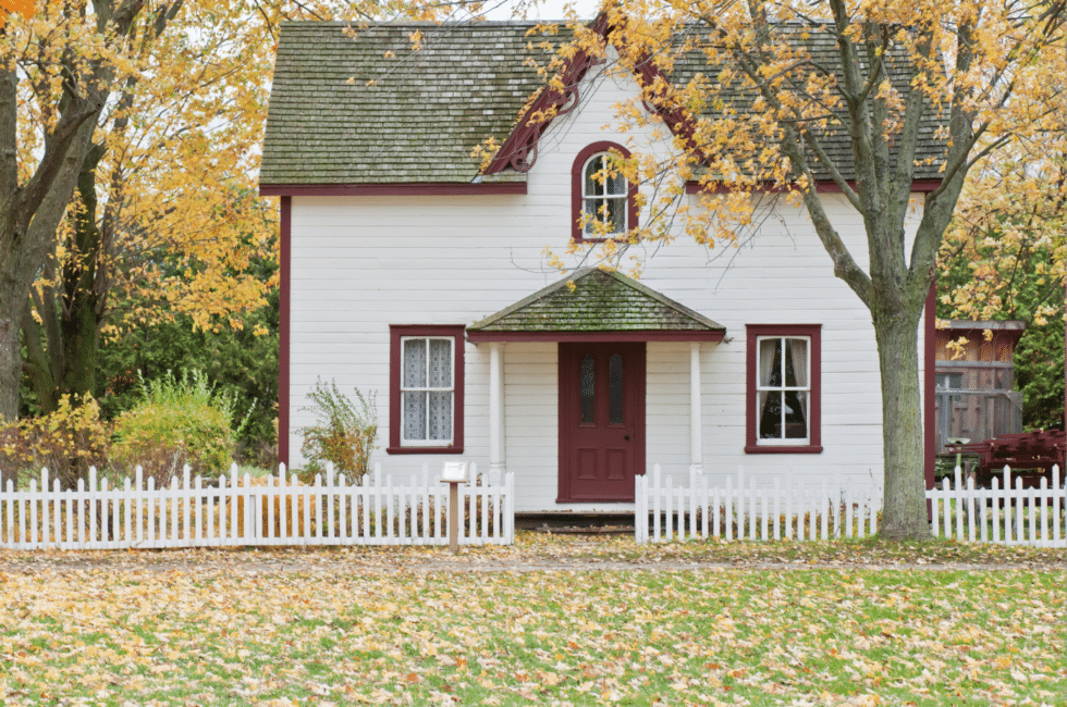 Managing Leaves In The Fall