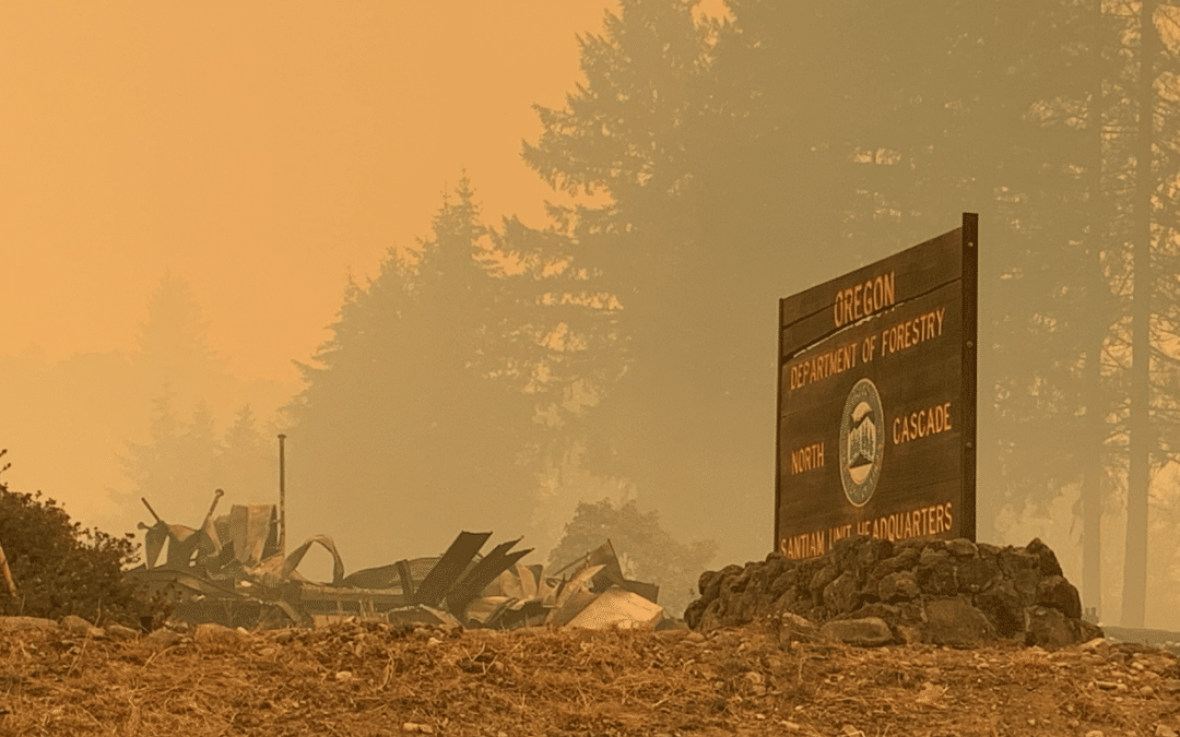 How You Can Help Those Affected By Wildfires