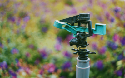 Maintaining Irrigation Systems In Cold Weather