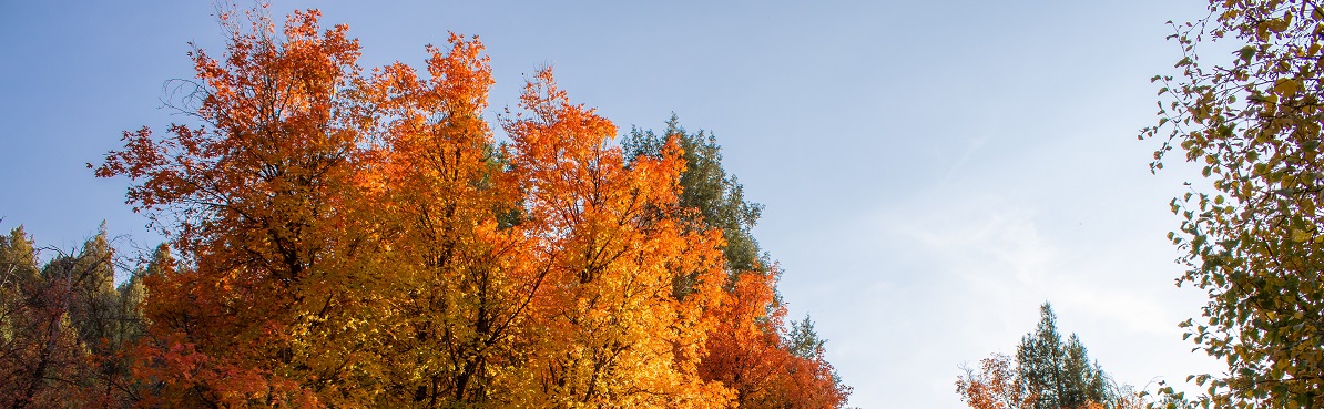 4 Tips to Keep Kids Safe This Autumn