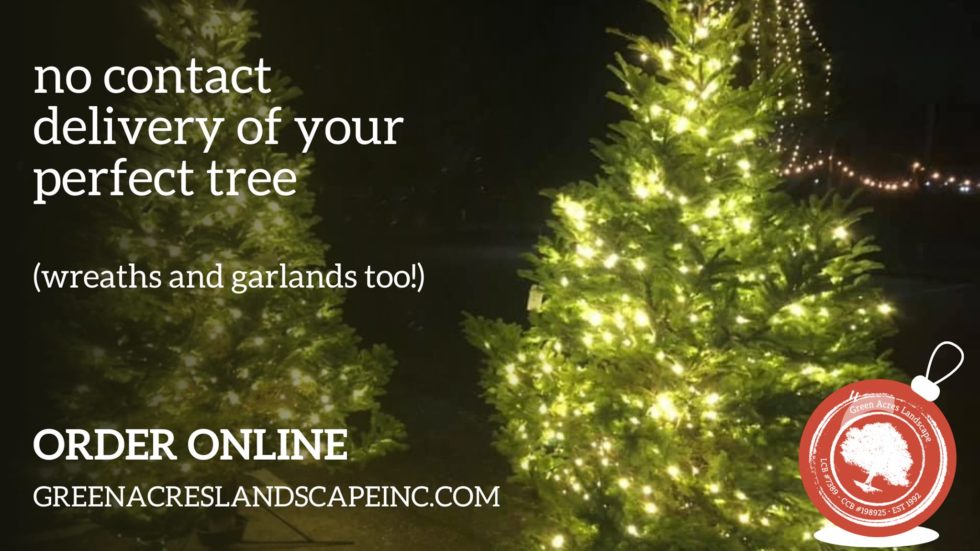 Order Your Christmas Tree Online!