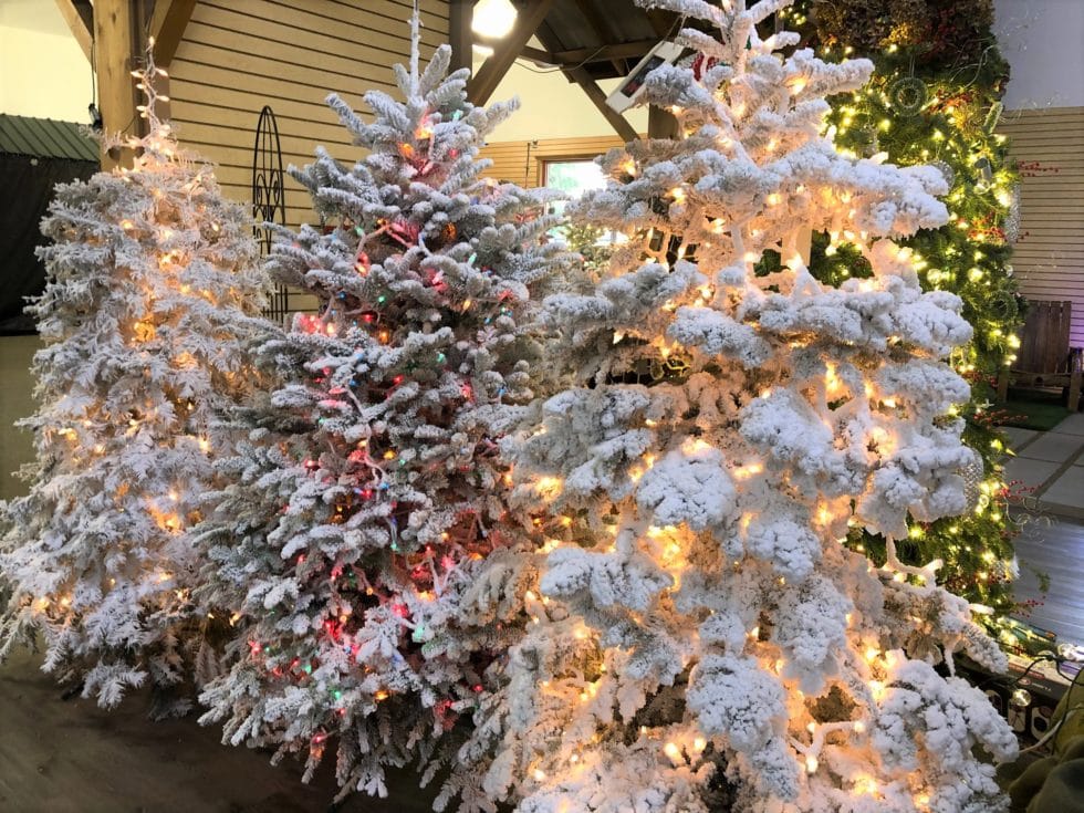 Merry Christmas From Green Acres Landscape