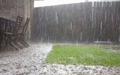 How To Protect Your Lawn and Garden From Heavy Rain
