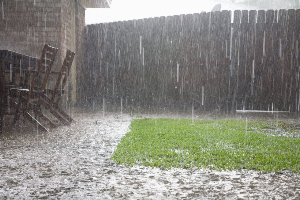 How To Protect Your Lawn and Garden From Heavy Rain