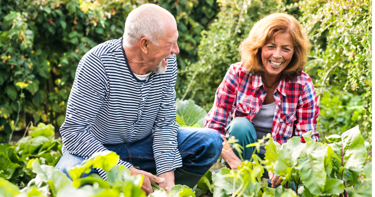 Get Your Garden Party Started: Planning A Summer Garden