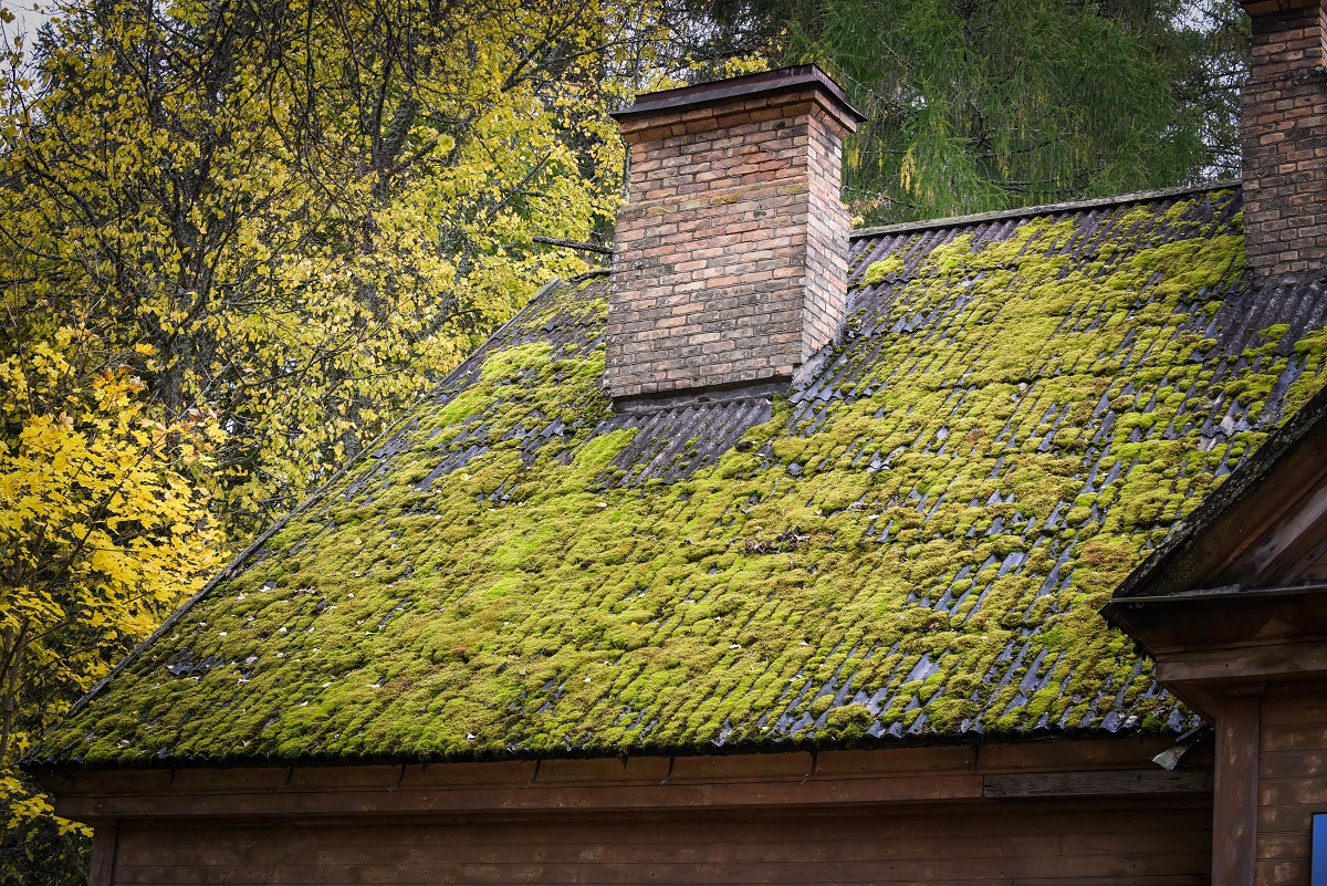 Roof Maintenance Tips and When to Replace Your Roof