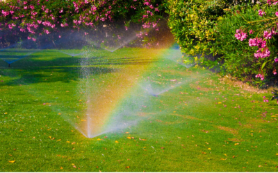 Get Your Watering and Irrigation System Ready for Summer