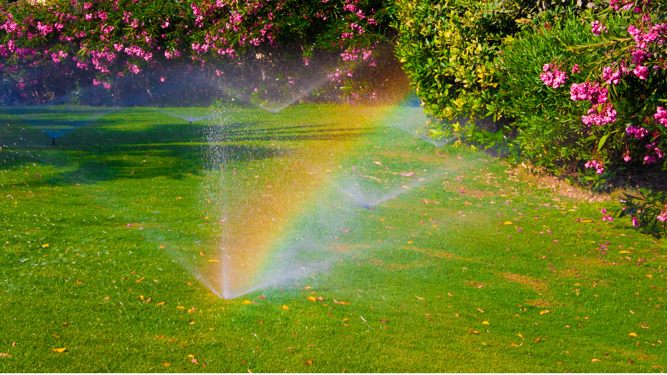 Get Your Watering and Irrigation System Ready for Summer