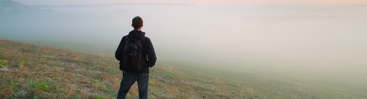 How Vasectomy and Vasectomy Reversal Work