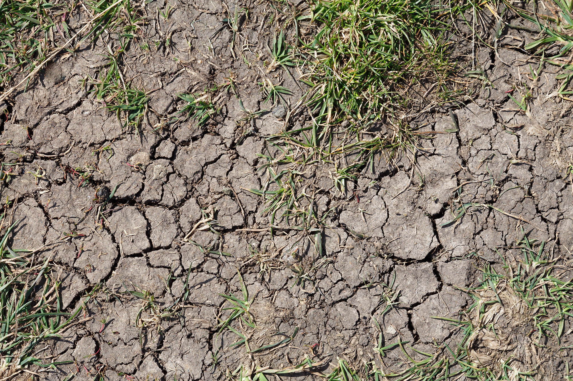 Drought and You