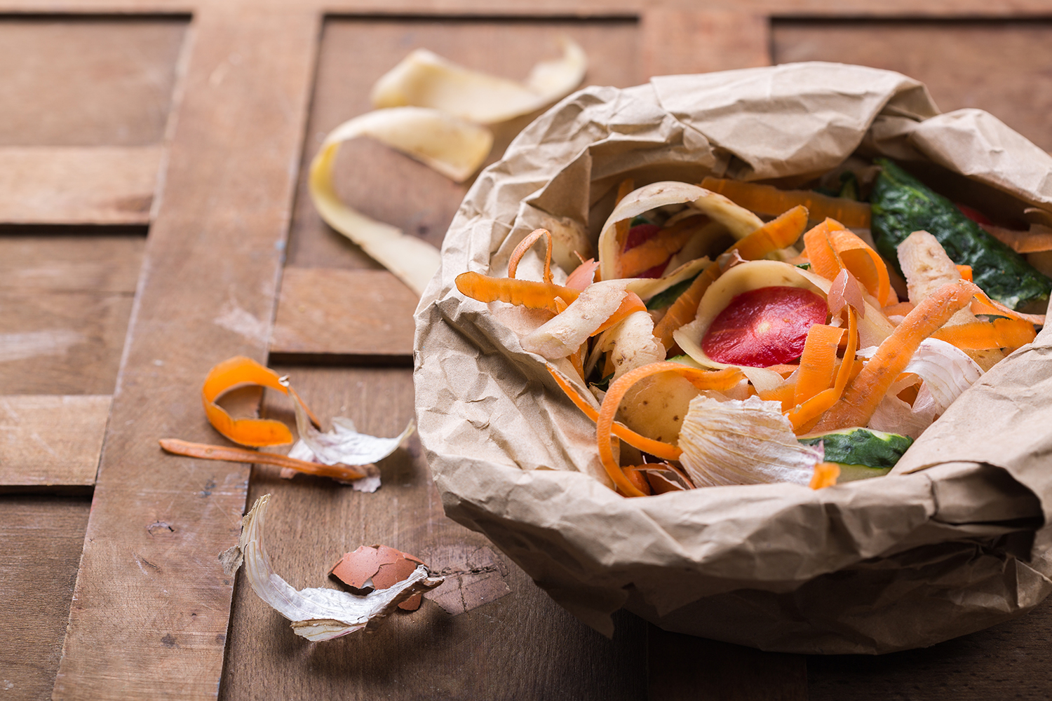 Composting 101: How (and Why) to Start Composting