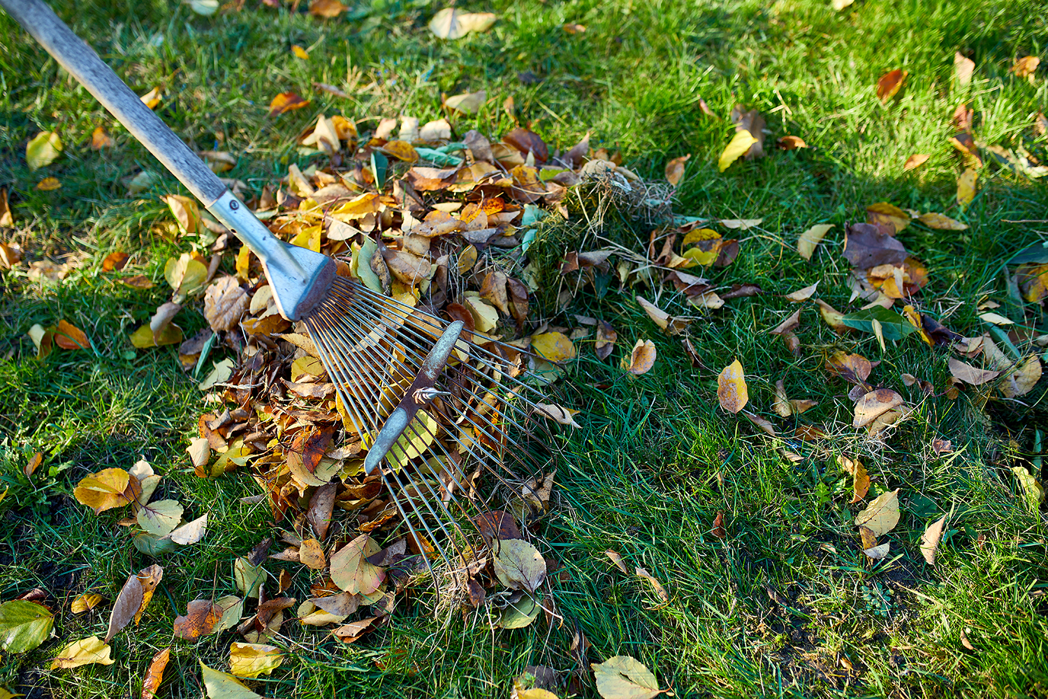 5 November Tasks to Prep Your Lawn or Garden for Winter