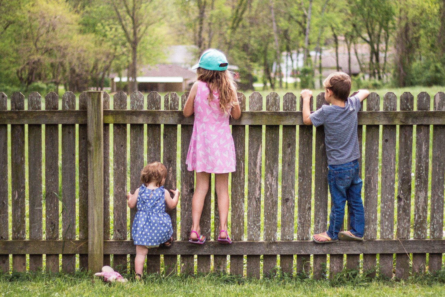 Best Types of Fences for Families with Small Children