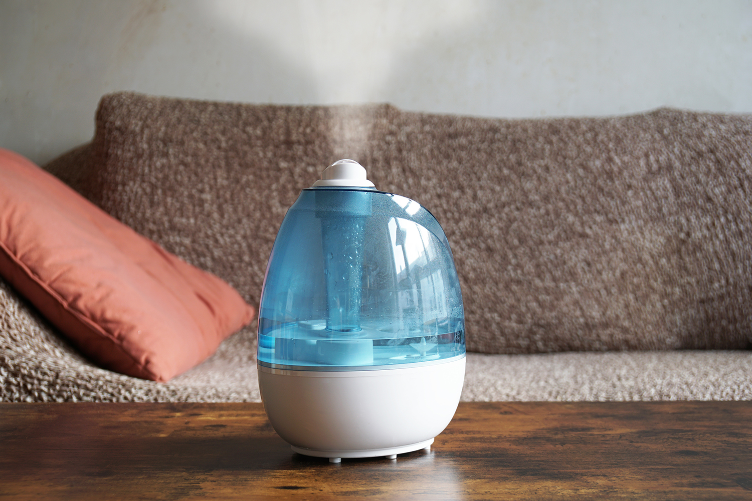 Evaporative vs. Ultrasonic Humidifiers: What's the Difference?