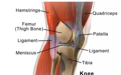 Knee Pain Treatment Specialists