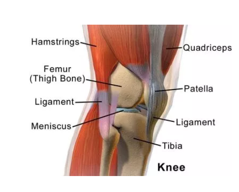 Knee Pain Treatment Specialists