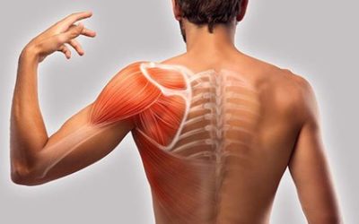 Shoulder Pain Treatment in NYC | Shoulder Pain Doctors Specialists