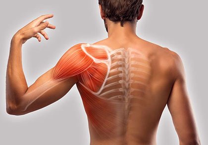 Shoulder Pain Treatment in NYC | Shoulder Pain Doctors Specialists