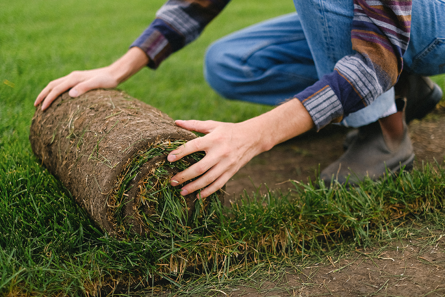 Starting a landscaping job can be the start of a fulfilling career