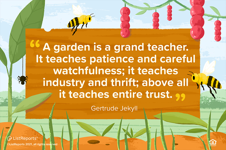 A Garden Is A Grand Teacher