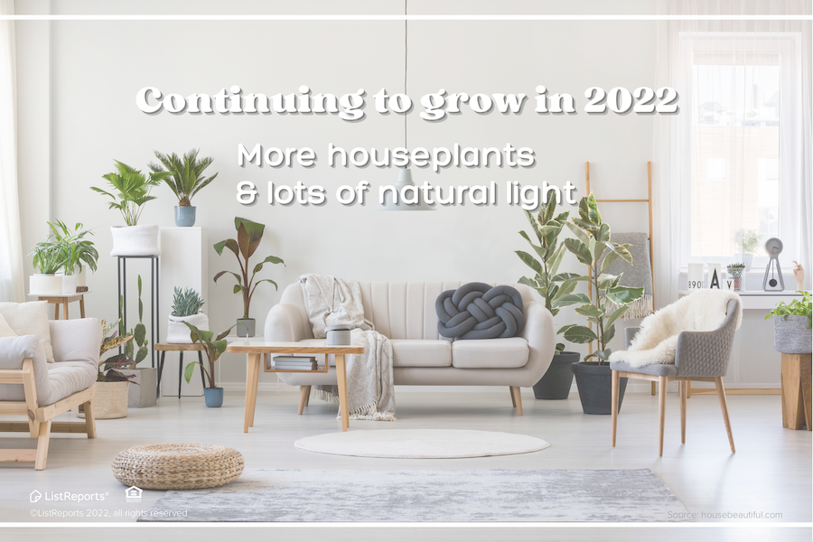 Adding Houseplants To Your Home