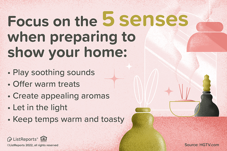 Focus On The 5 Senses