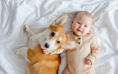 Top Tips for Introducing Your Child to Your Pet