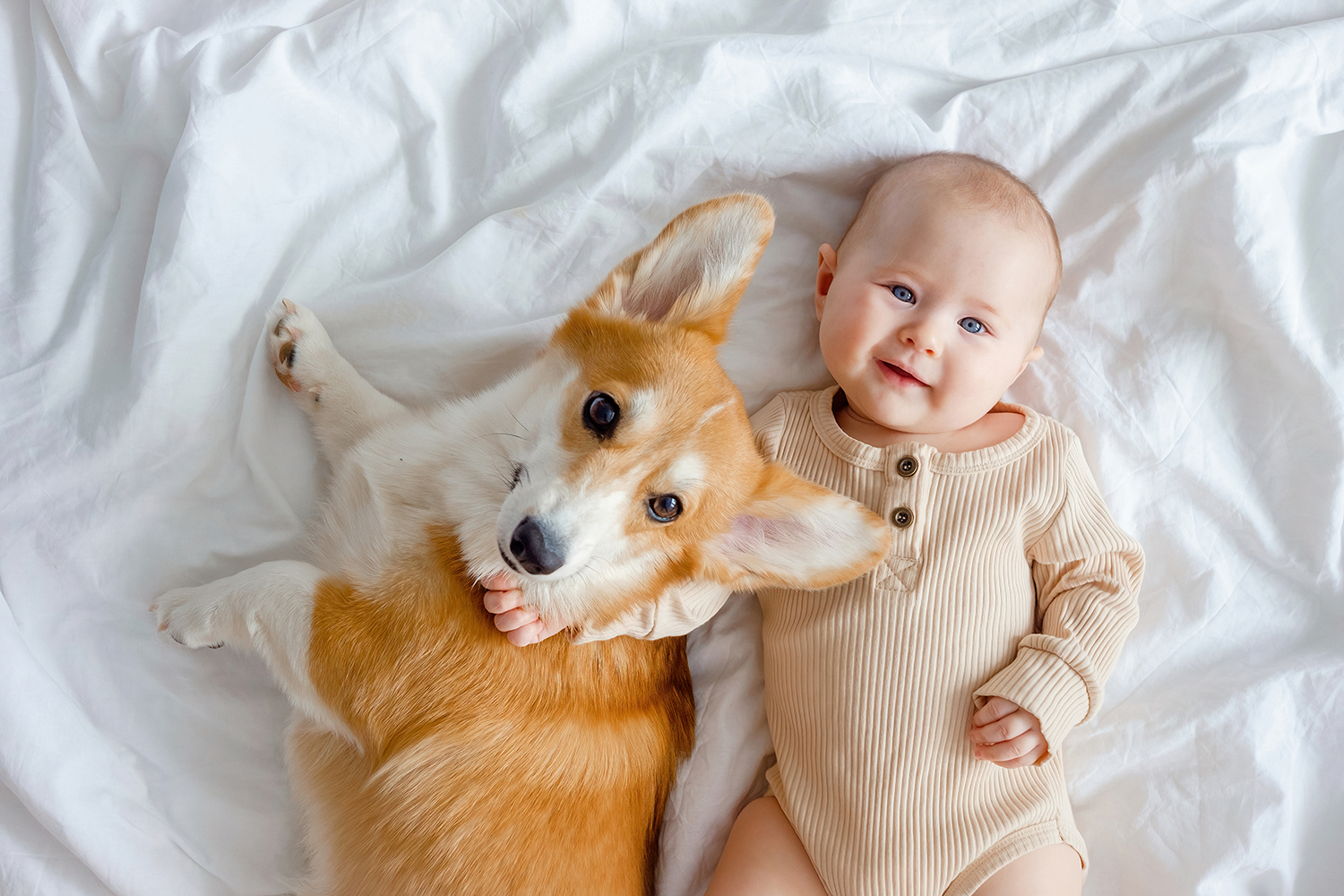 Top Tips for Introducing Your Child to Your Pet