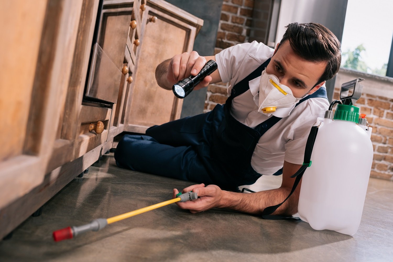 Common Mistakes When Hiring a Pest Control Company