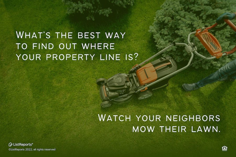 Property Lines?