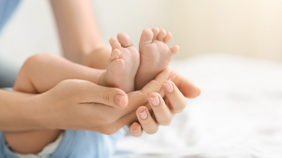 Purpose of the Placenta