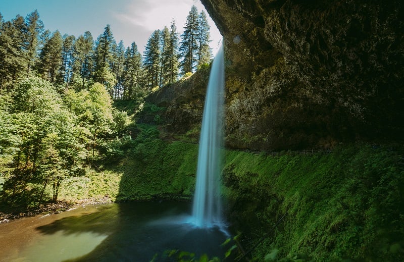 5 Family-Friendly Day Hikes Close to Salem, Oregon
