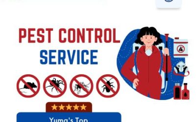 Discover Yuma's Top 5 Pest Control Champions: Get Your Peace of Mind Today!