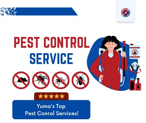 Discover Yuma's Top 5 Pest Control Champions: Get Your Peace of Mind Today!