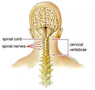 Neck Pain Treatment Specialists in New Jersey