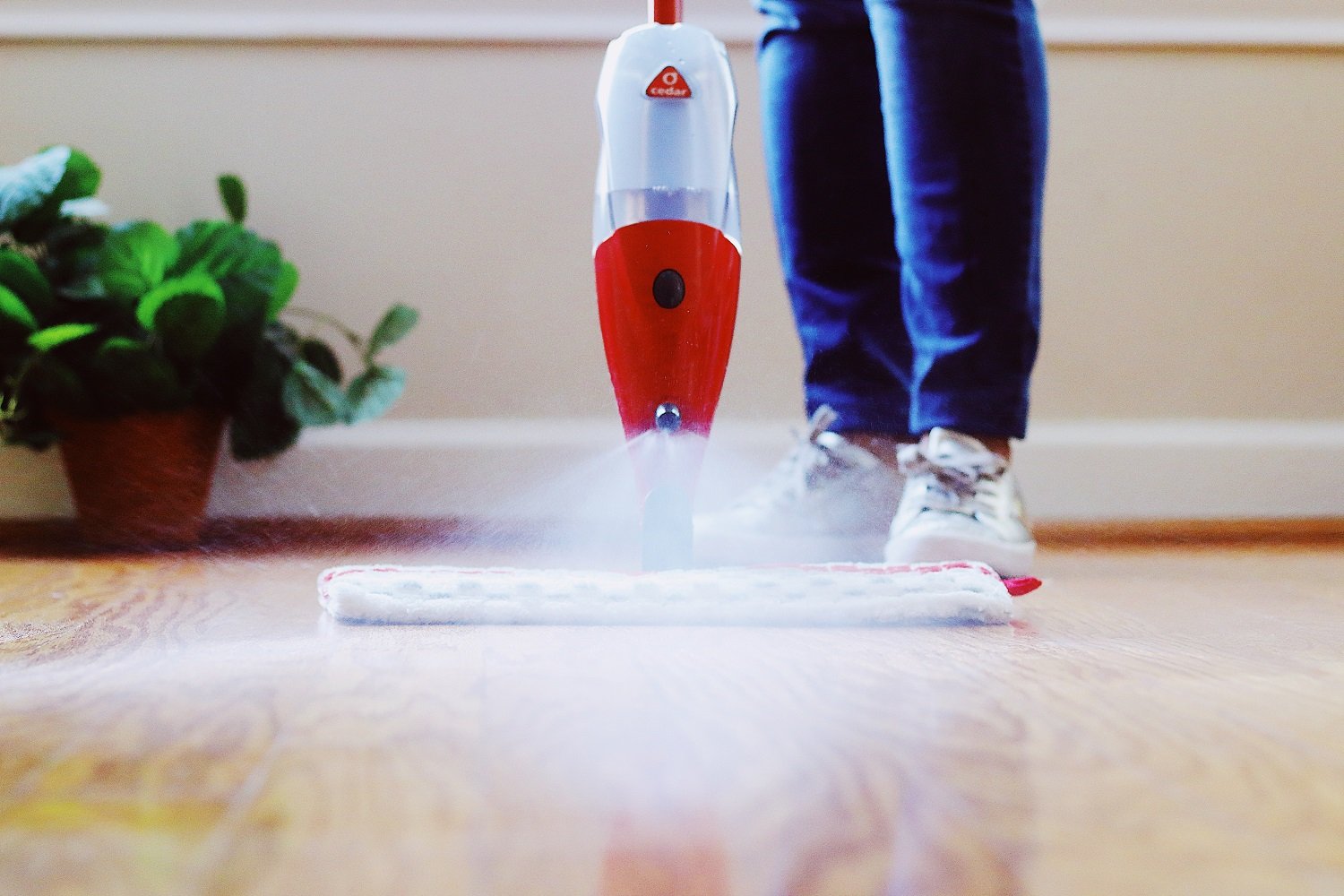 Choosing a Quality Home Cleaning Company