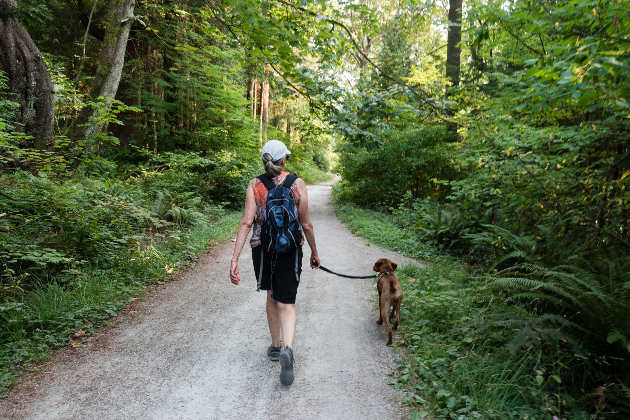 Barking Good Time: A Dog-Friendly Hiking Guide to York County, Maine