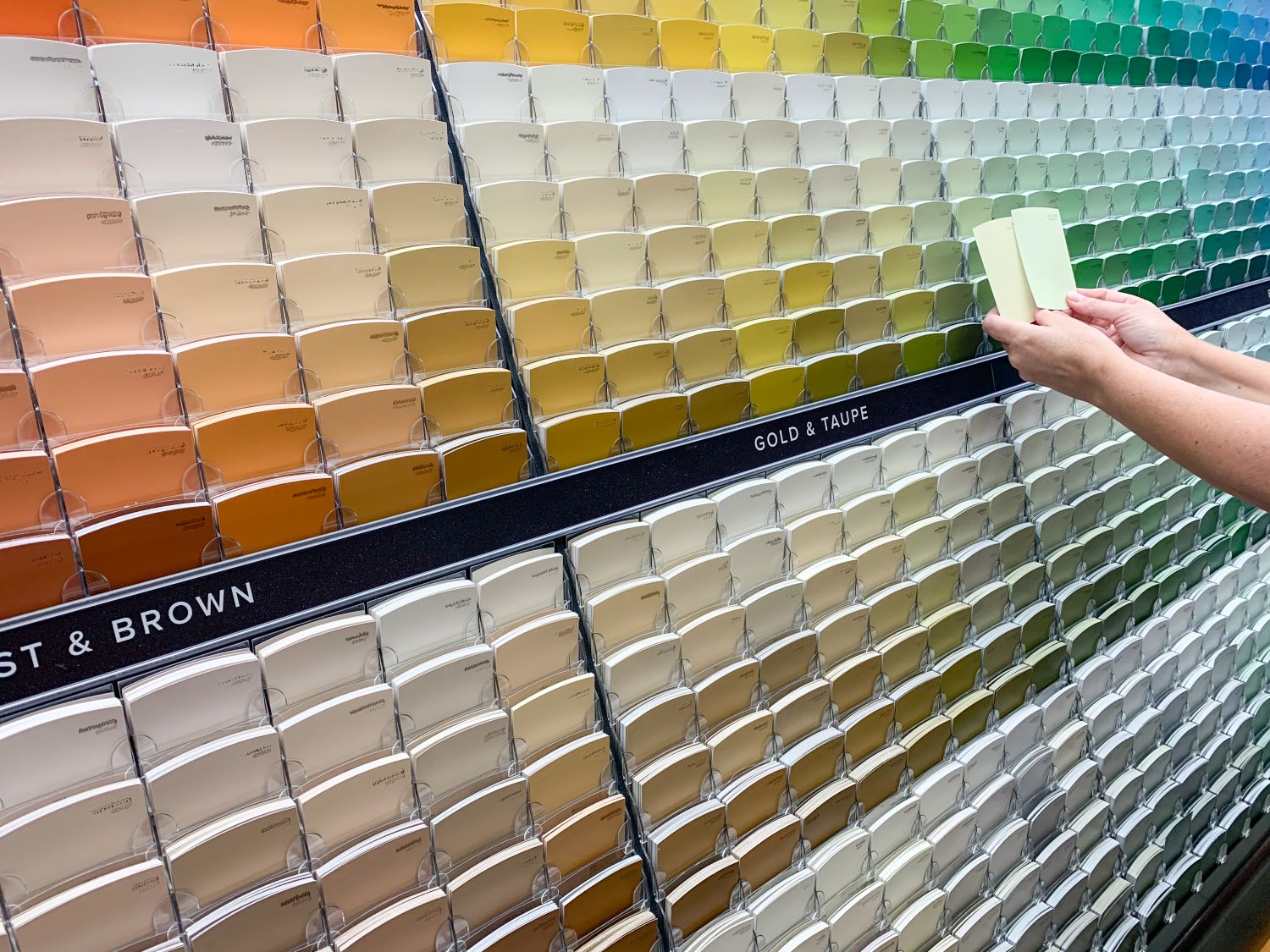 Choosing the Perfect Paint Shades for Your Home