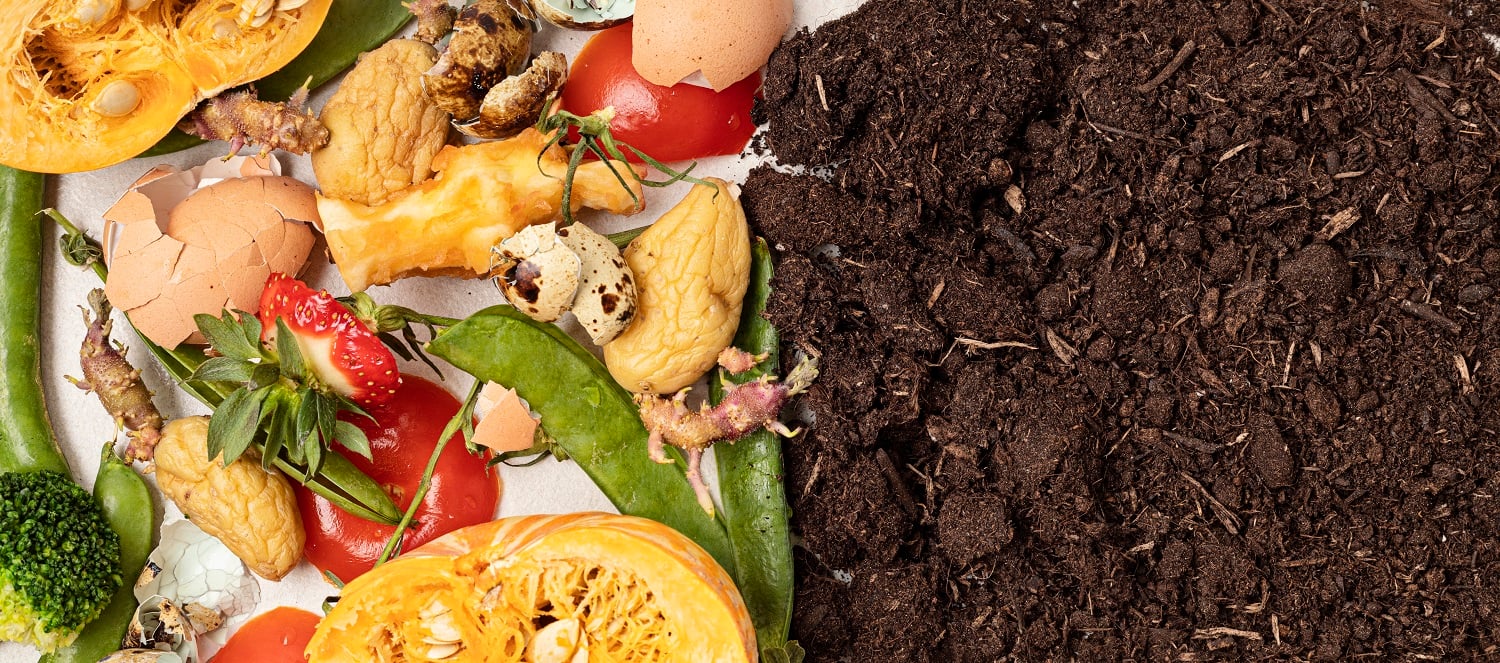 Compost 101: How and Why to Start Composting