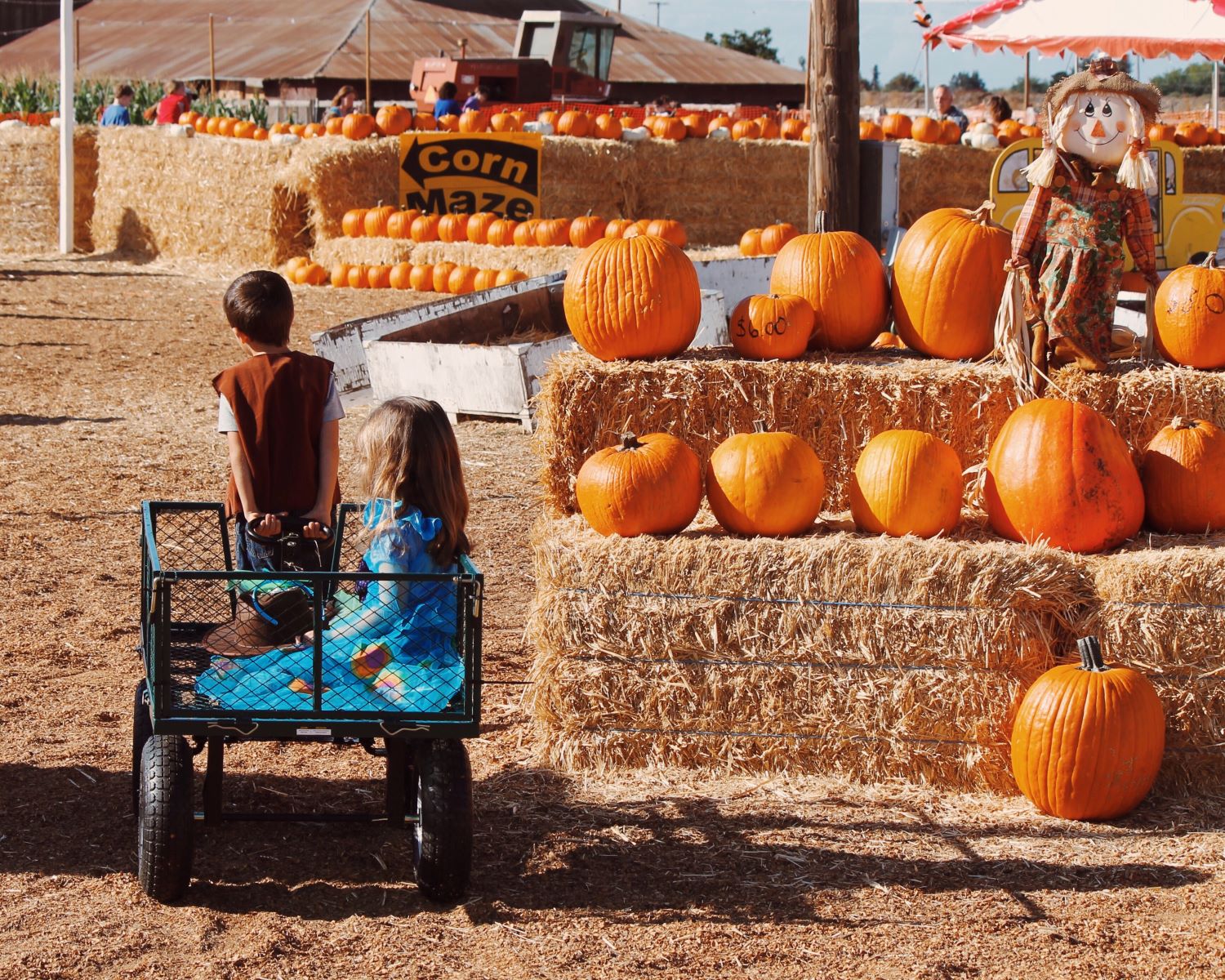 5 Harvest Festivals and Pumpkin Patches in the Salem, Oregon Area