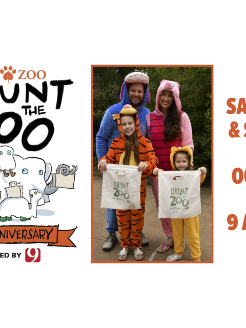 Looking for something fun to do this weekend?OKC
