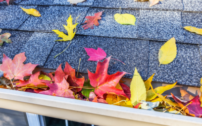 Corvallis Roof Maintenance: Fall Maintenance for Roof Longevity