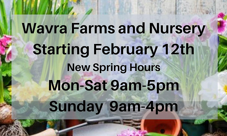 Wavra Farms Spring Hours