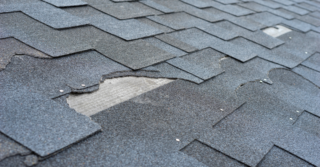 roof repair or replace in Albany Oregon
