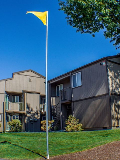 Cute and spacious apartment in Silverton, call or text