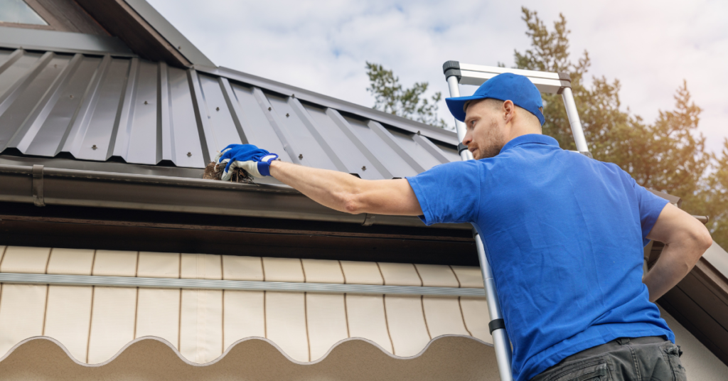 Spring Roofing & Attic Care