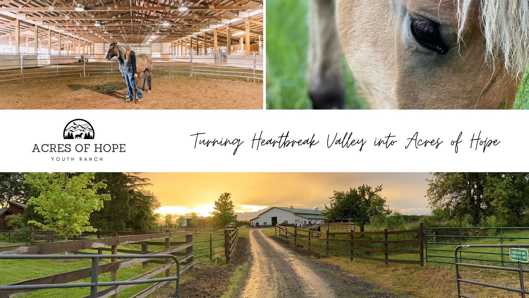 From Pain to Purpose: The Story of Acres of Hope Youth Ranch