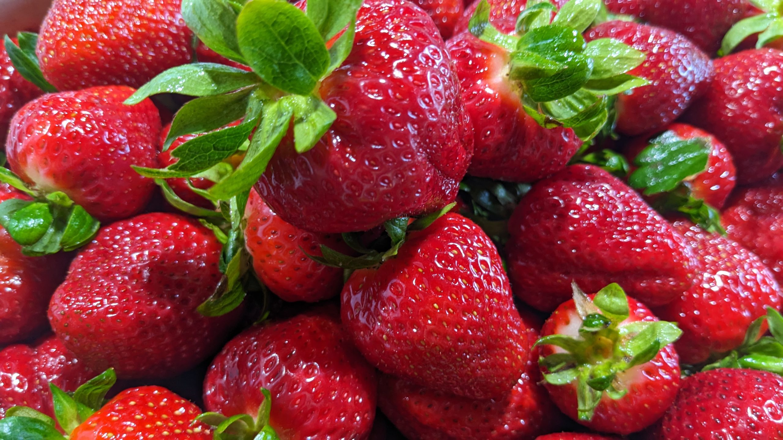 Beyond the Berries: 5 great things to do in Cabot over Strawberry Fest weekend