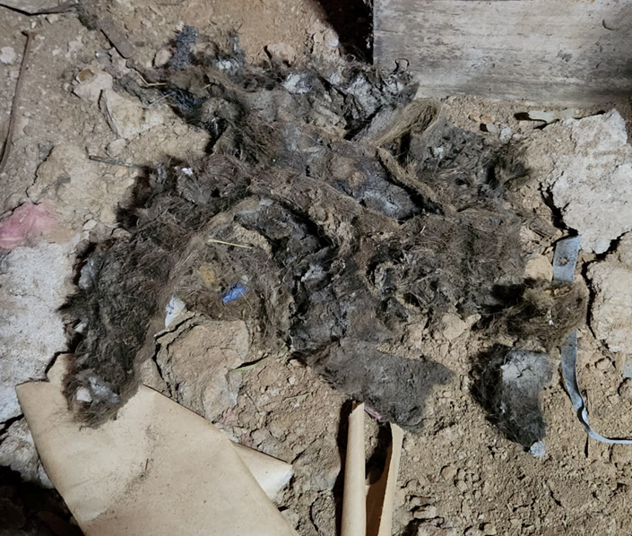 2 Hair & debris that was found wrapped in a blower wheel.